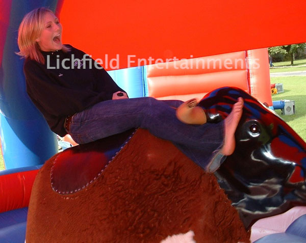 Rodeo Bull and Bucking Bronco hire